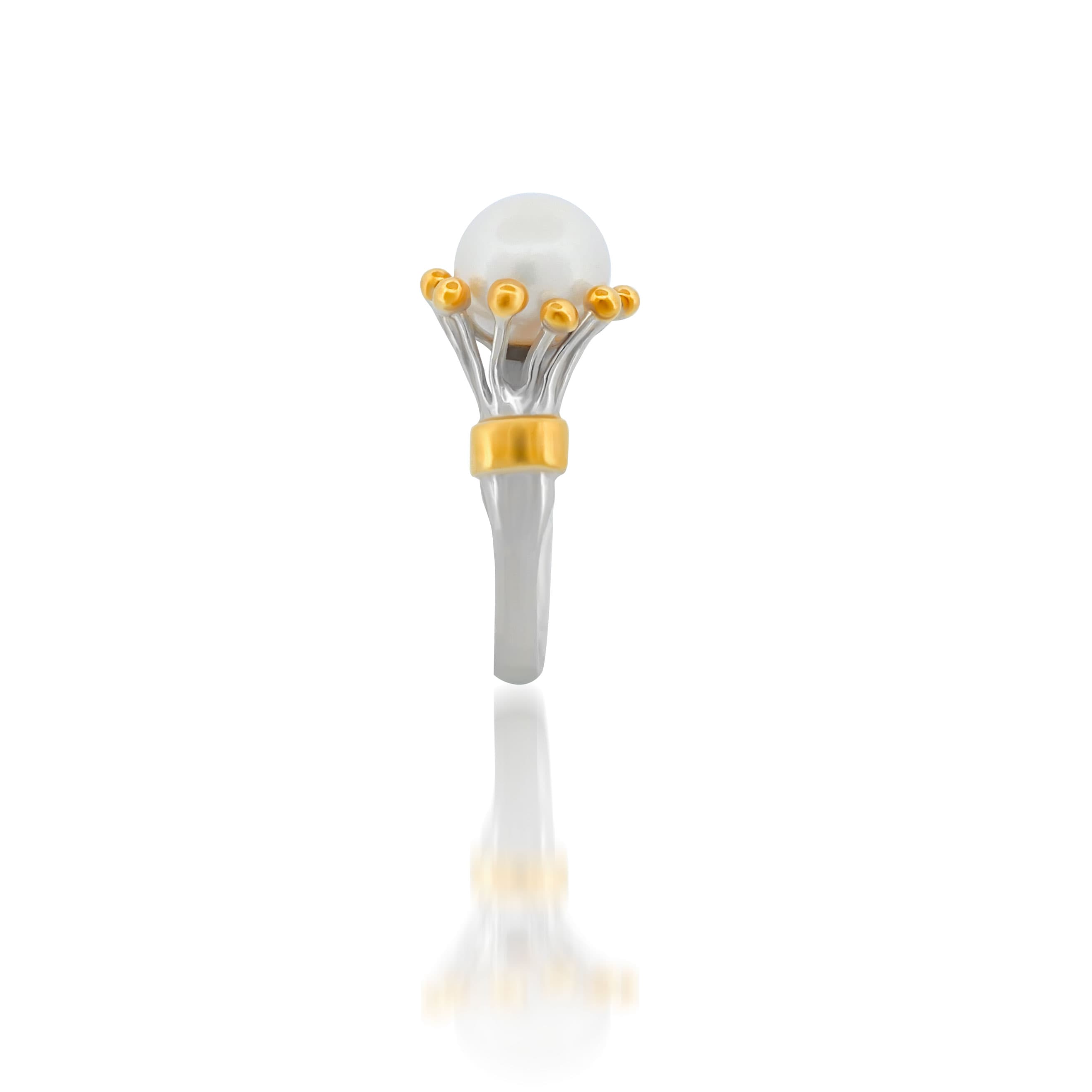 J2.jpg